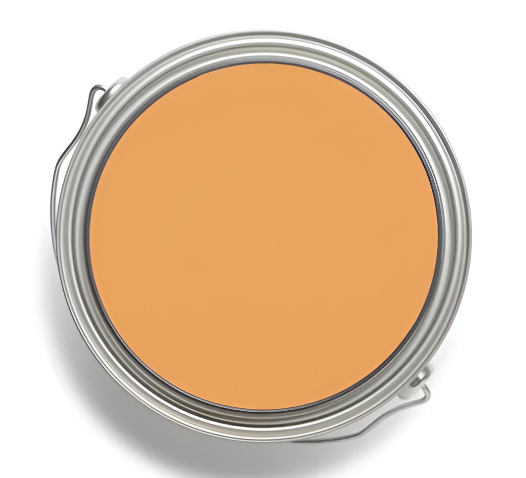 Corante Coral Base Água Ocre 0.05L