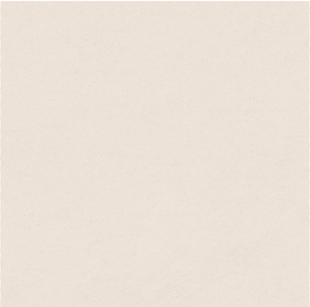 PORCEL TECNOG 58X58 STRATO GREY RT A FL