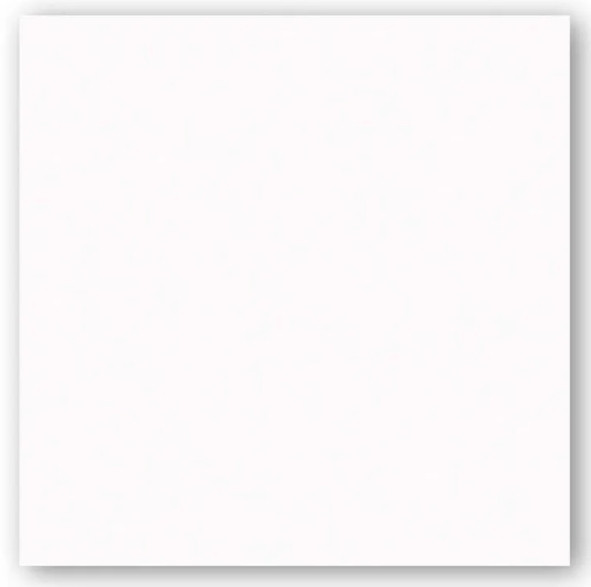 Cerâmica Riviera Branco 54x54 Arielle Tipo B