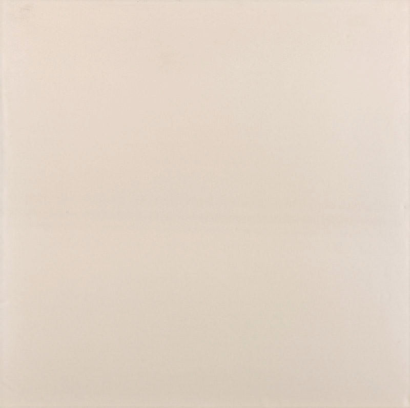 Ceramica 60X60 Classico Cru Brilhante Tipo A Pointer