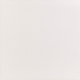 Porcelanato 62.5X62.5 Super Bianco Natural Escovado Tipo A Elizabeth