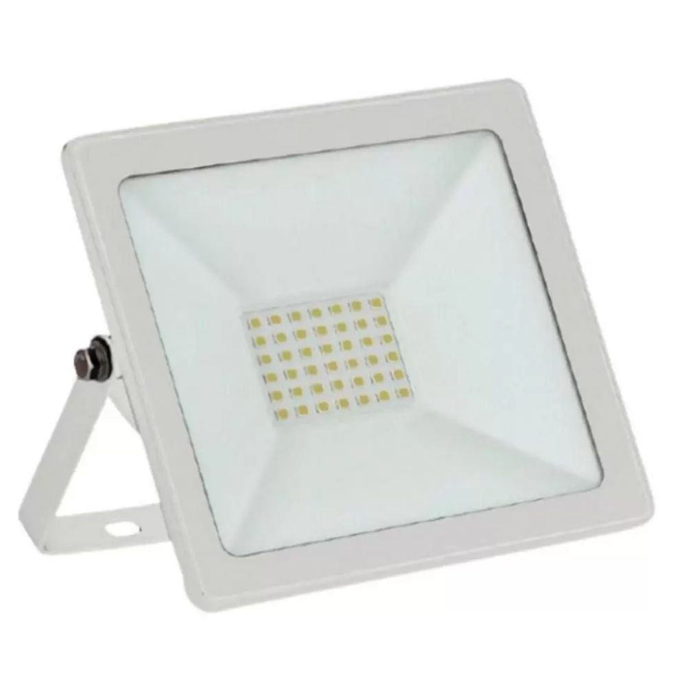 Refletor Led WL-70W 6500K BR Neotron