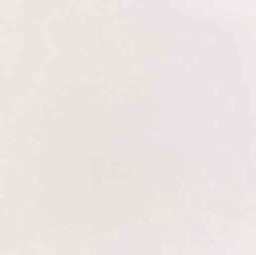 Porcelanato Elizabeth 60x60 Super Bianco Tecn Polido Tipo A
