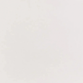 Porcelanato Elizabeth 60x60 Super Bianco Tecn Natural Retificado Tipo A
