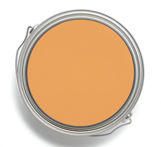Corante Coral Base Água Ocre 0.05L