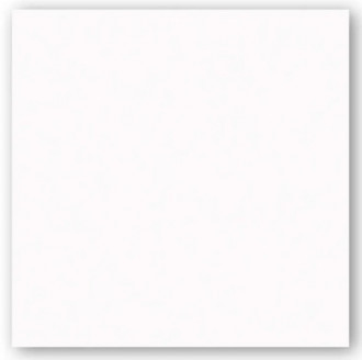 Cerâmica Riviera Branco 54x54 Arielle Tipo B