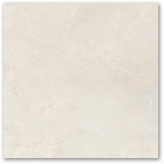 PORCELANATO 58X58 PPO58140R POLIDO TIPO A TECNOGRES