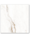 Porcelanato 76x76 Borgia Polido Tipo A Pamesa