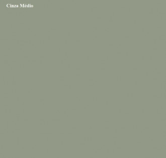 Esmalte Iquine Dialine Seca Rápido Alto Brilho Cinza Médio 3.0L