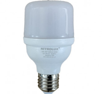 Lâmpada Nitrolux Led Bulbo T60 20W 6500K