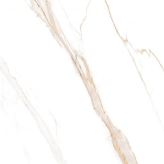 Porcelanato Pamesa 60x60 Calacatta Bronze Polida Retificada Tipo A