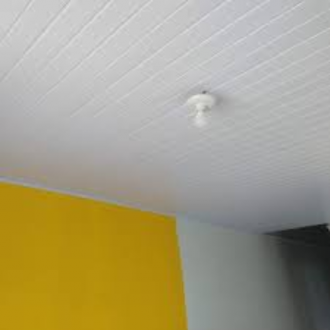 Forro  Perfilplast Pvc Fris Br 20CM  6M