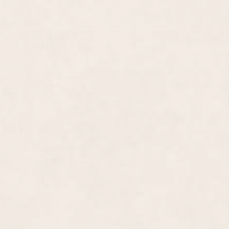 Porcelanato Pamesa 60x60 Link Ivory Polido Retificado Tipo A
