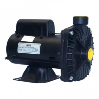 Bomba Centrífuga CP6R 1CV 220v Dancor